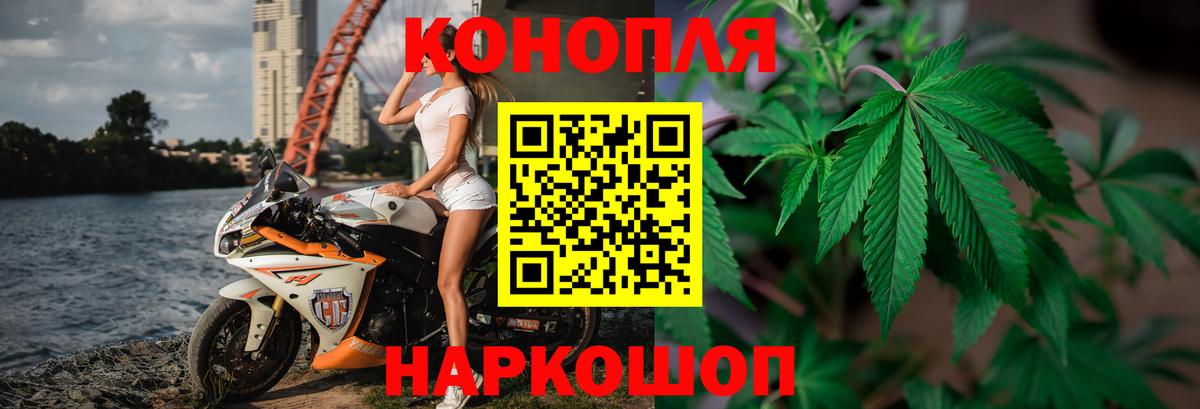 Марихуана OG Kush  Марихуана планчик  Елец  Канабис тримм  Вход с VPN  Бошки марихуана AK-47 